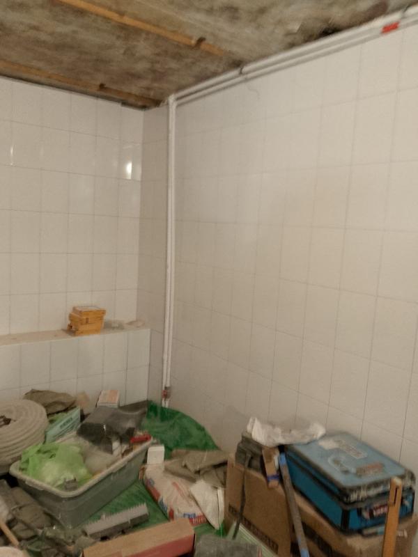 photo 4 2025 05 16 09 09 47